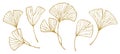 golden ginkgo leaves. graphic drawing set of tropical leaves with gold texture. sketch outline Royalty Free Stock Photo